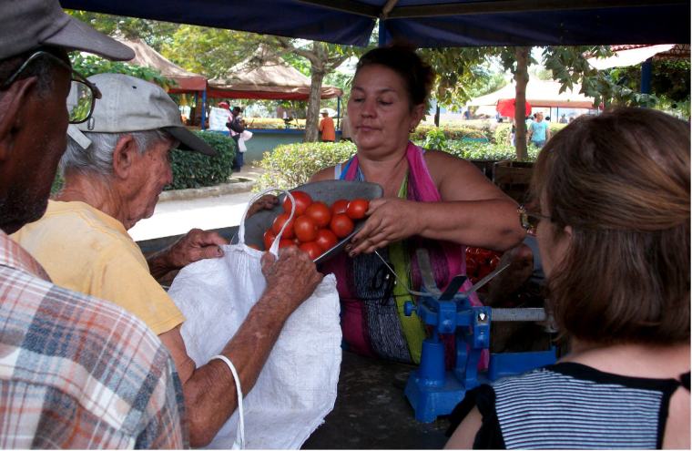 ¿Volveremos a ver la venta de tomates a precios razonables en el Mercado Los Chinos? VDC FOTO/Luis Ernesto Ruiz Martínez.